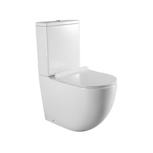 Floor Mounted WC Two Piece